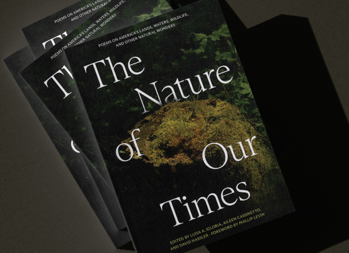 The Nature of Our Times